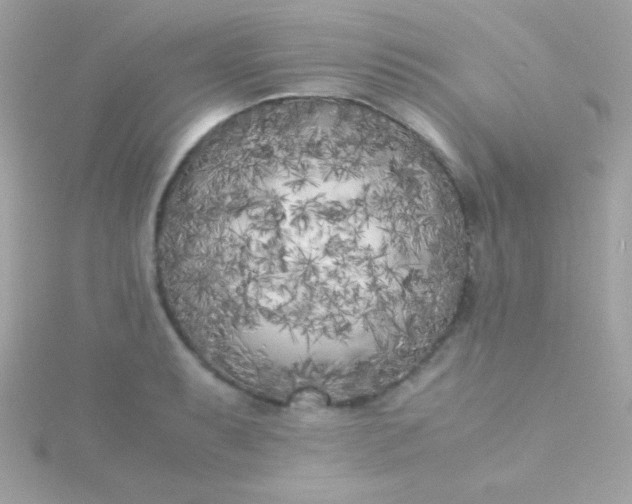 X0000115741087200911251954