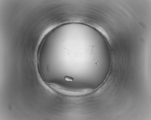 X0000115741088200911251954