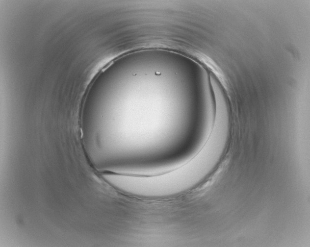 X0000115741089200911251954