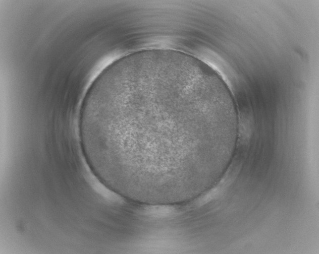 X0000115741090200911251954