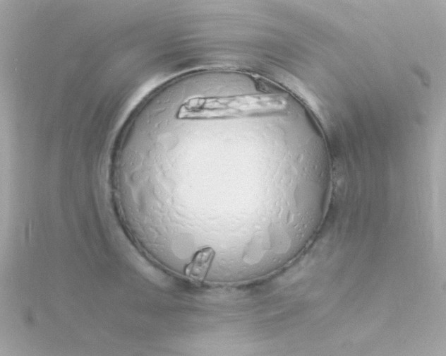 X0000115741091200911251954