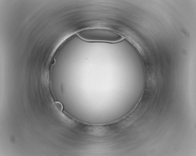 X0000115741092200911251954