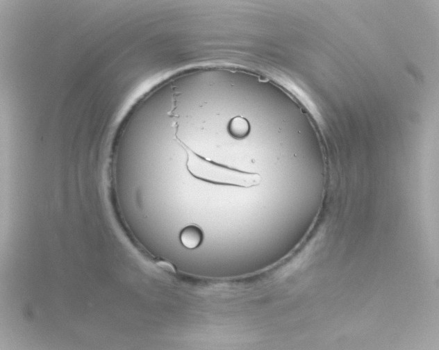 X0000115741093200911251954