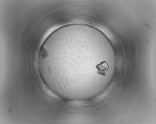 X0000115741094200911251954