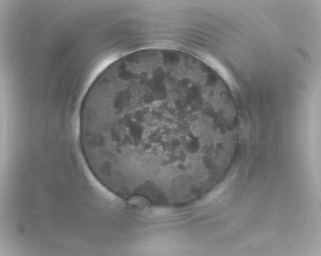 X0000115741095200911251954