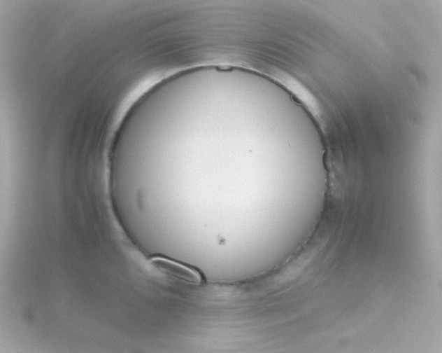 X0000115741096200911251954