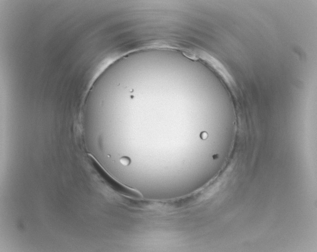 X0000115741097200911251954