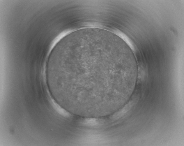 X0000115741098200911251954