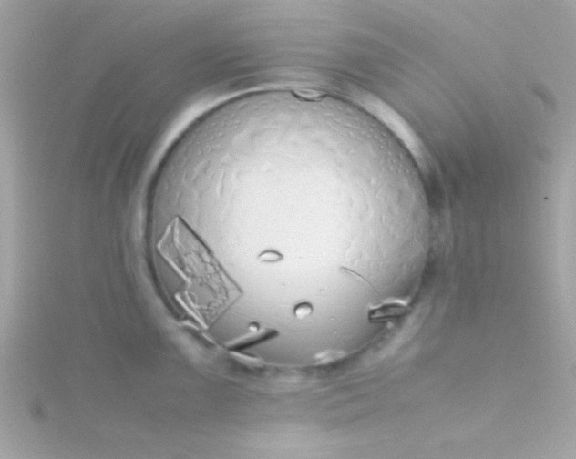 X0000115741099200911251954