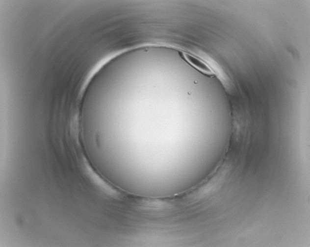 X0000115741100200911251954