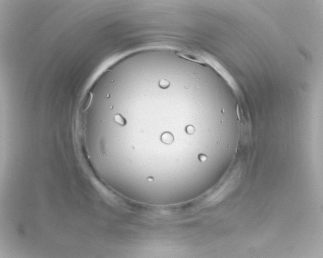 X0000115741101200911251954