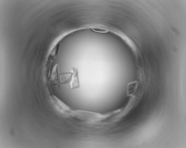 X0000115741102200911251954