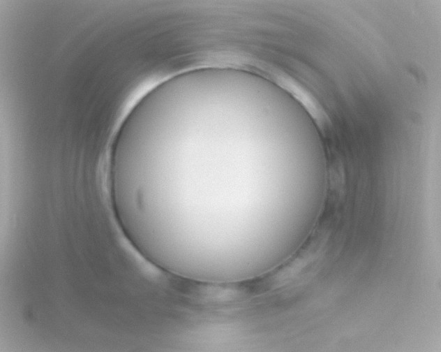 X0000115741103200911251954