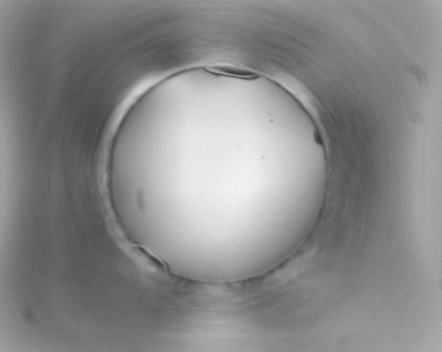 X0000115741104200911251954