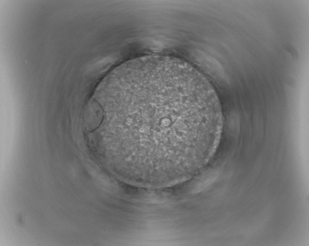 X0000115741105200911251954