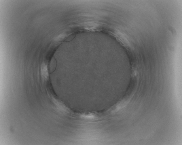 X0000115741106200911251954