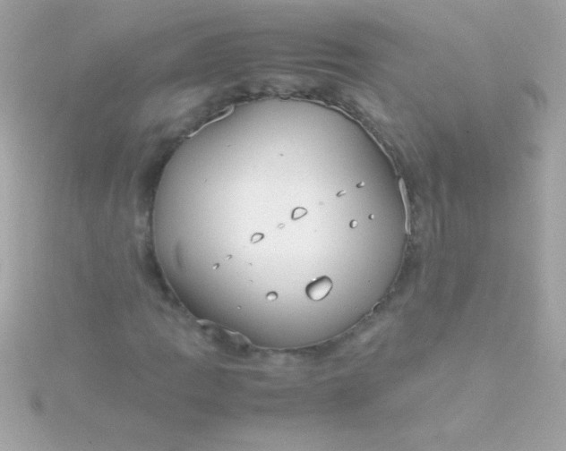 X0000115741109200911251954