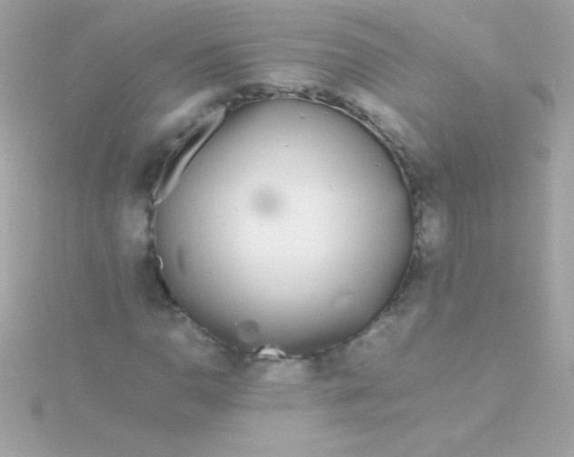 X0000115741110200911251954