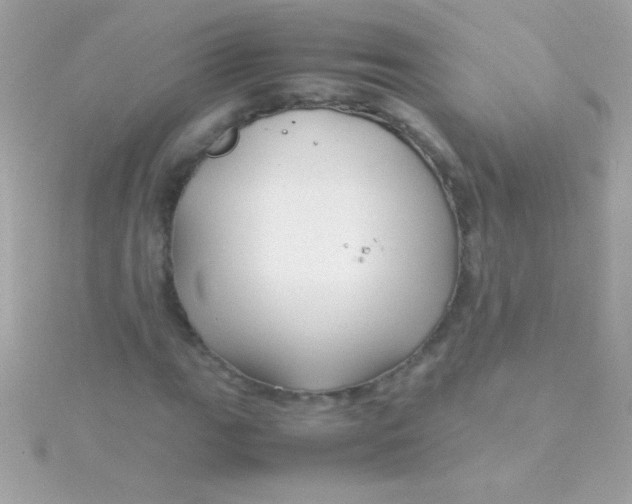 X0000115741111200911251954