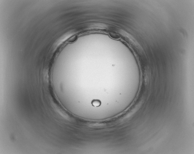 X0000115741113200911251954