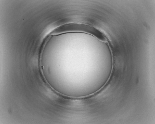 X0000115741114200911251954