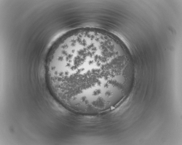 X0000115741115200911251954