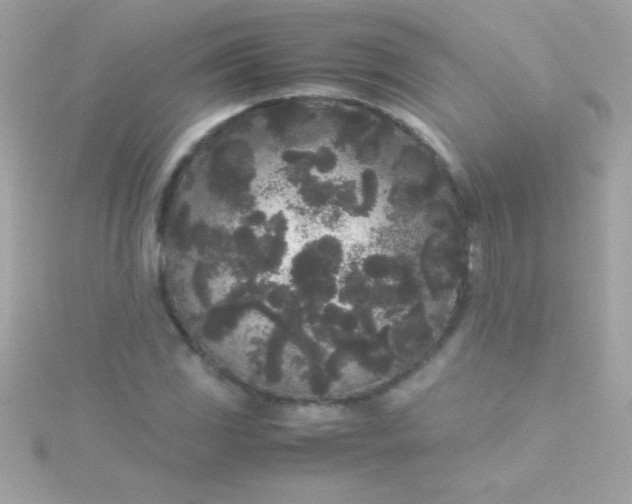 X0000115741117200911251954