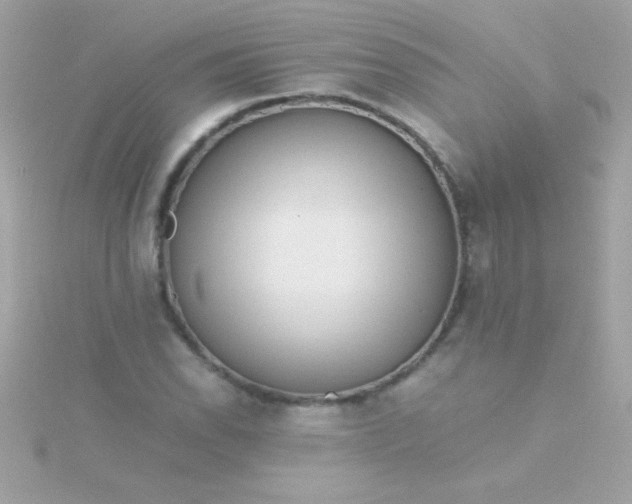 X0000115741118200911251954