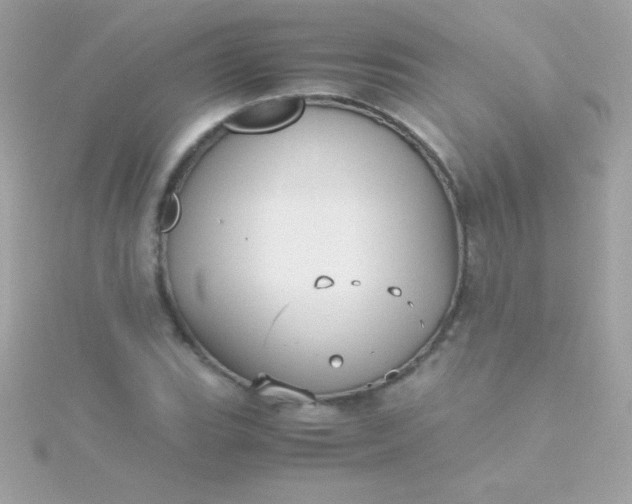 X0000115741119200911251954