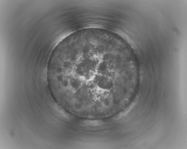 X0000115741121200911251954