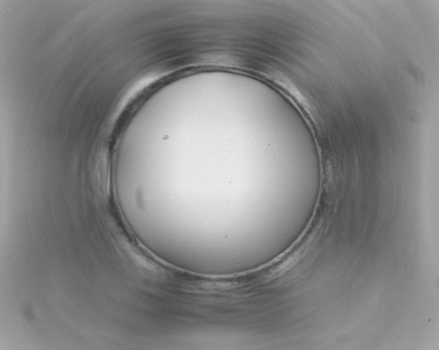 X0000115741123200911251954