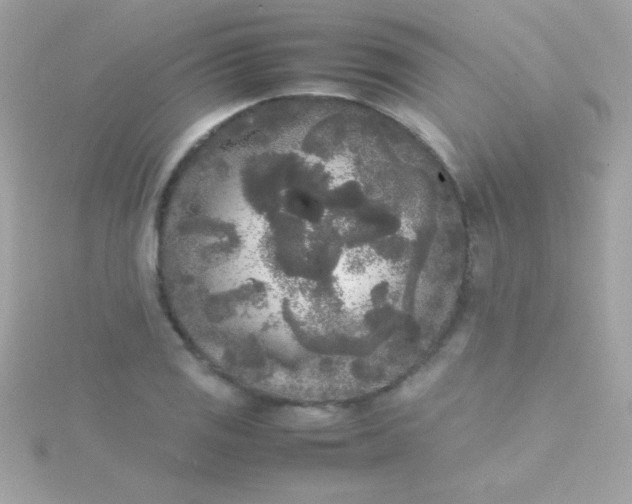 X0000115741125200911251954