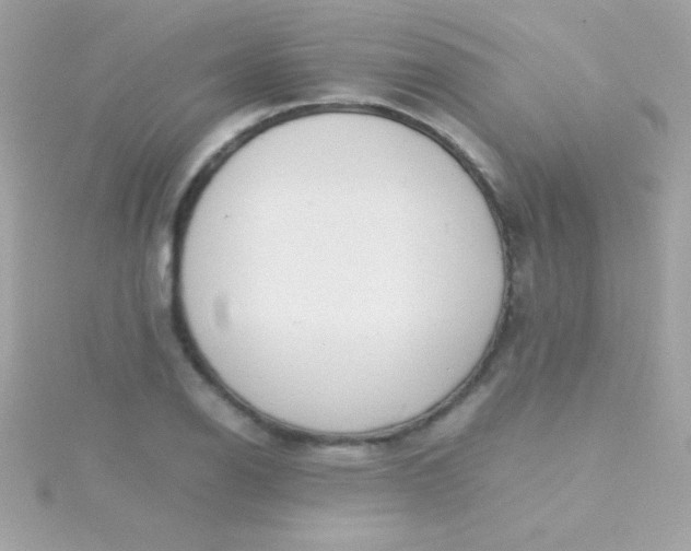 X0000115741126200911251954