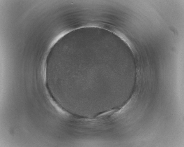 X0000115741127200911251954