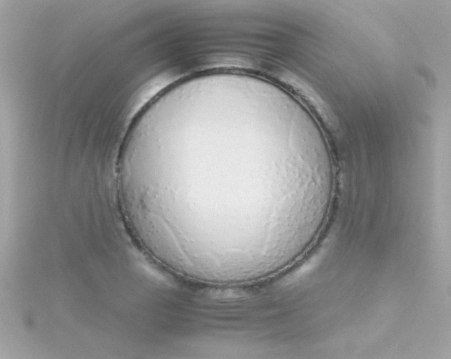 X0000115741129200911251954