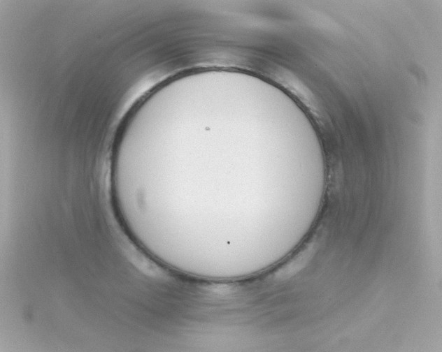 X0000115741130200911251954