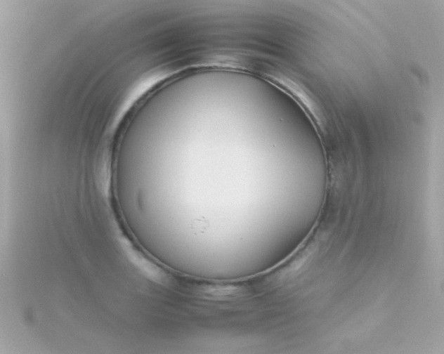 X0000115741131200911251954