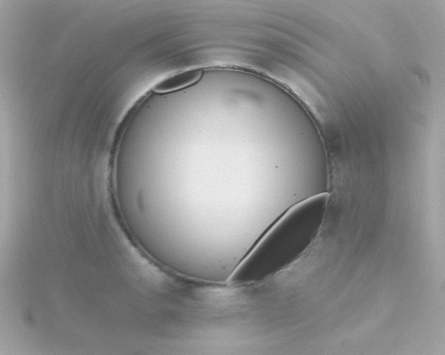 X0000115741134200911251954