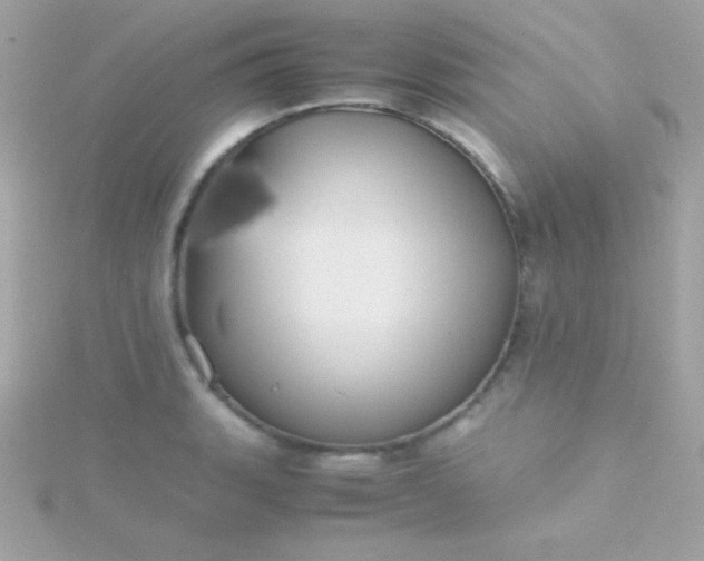 X0000115741135200911251954