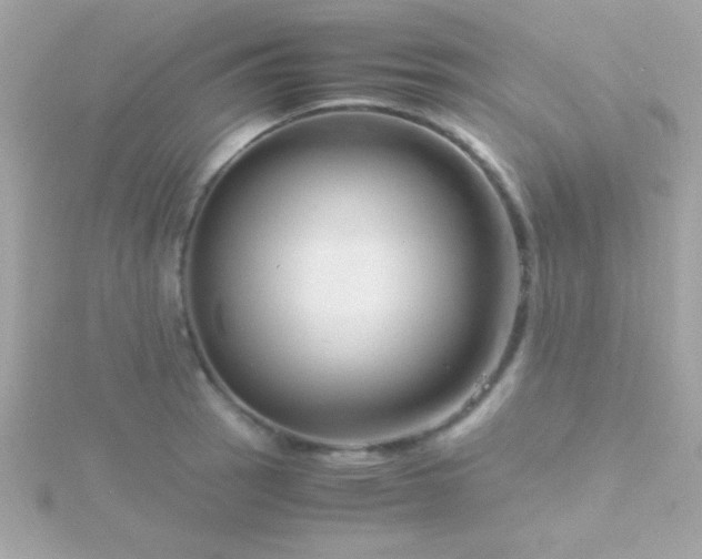 X0000115741137200911251954