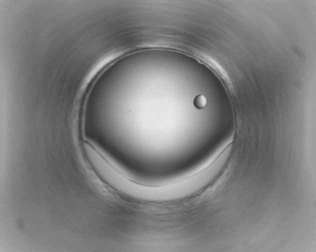 X0000115741138200911251954