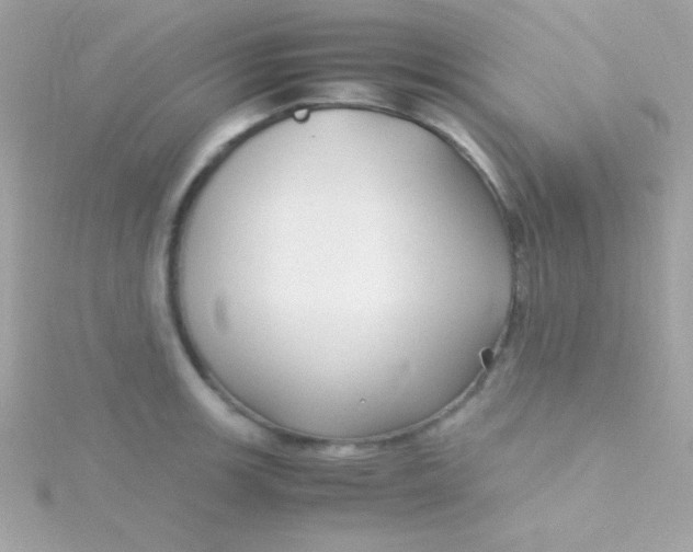 X0000115741139200911251954