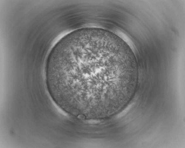 X0000115741141200911251954