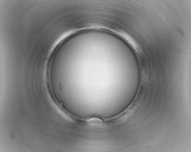 X0000115741142200911251954