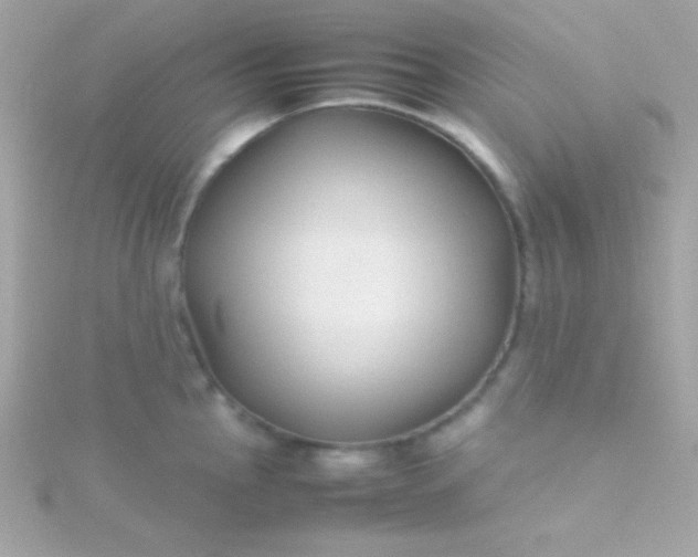 X0000115741145200911251954