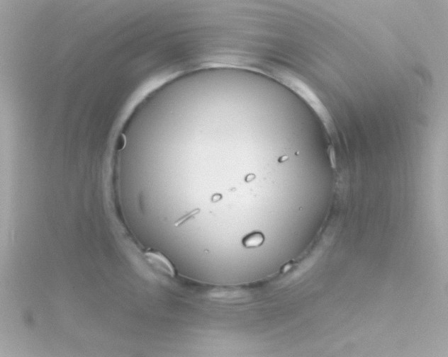 X0000115741146200911251954