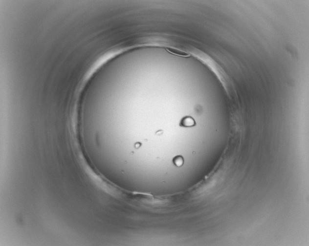 X0000115741147200911251954