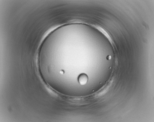 X0000115741149200911251954