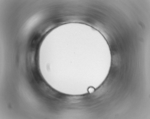 X0000115741150200911251954