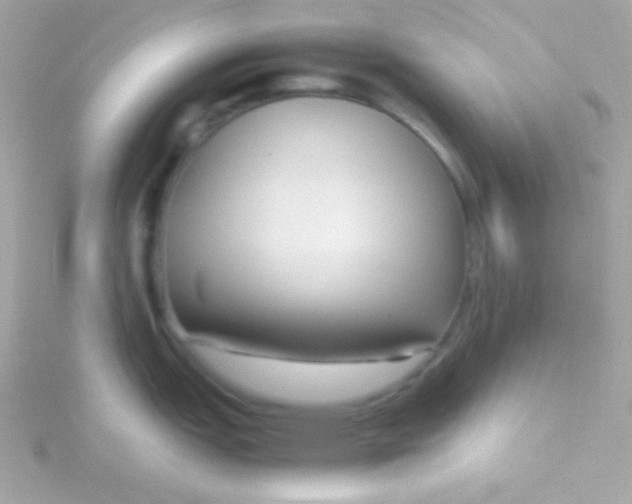 X0000115741151200911251954